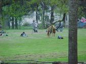 Enlarge photo 93