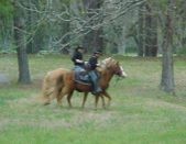Enlarge photo 79