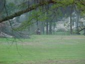 Enlarge photo 84