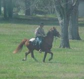 Enlarge photo 170