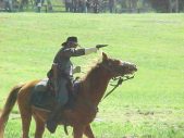Enlarge photo 161