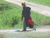 Enlarge photo 155