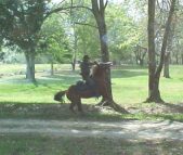 Enlarge photo 164