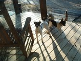 Enlarge photo 9