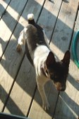 Enlarge photo 10