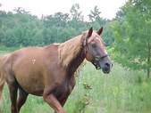 Enlarge photo 27