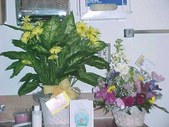 Enlarge photo 13