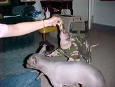 Enlarge photo 16