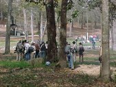 Enlarge photo 66