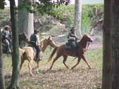 Enlarge photo 51