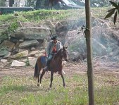 Enlarge photo 52