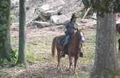 Enlarge photo 53