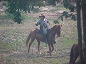 Enlarge photo 54