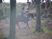 Enlarge photo 62