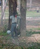 Enlarge photo 64