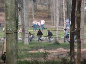 Enlarge photo 65