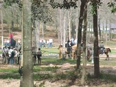 Enlarge photo 68