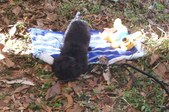 Enlarge photo 17