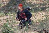 Enlarge photo 52