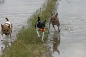 Enlarge photo 13