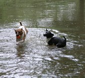 Enlarge photo 17