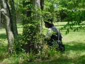 Enlarge photo 21