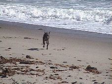 Enlarge photo 28