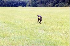 Enlarge photo 30