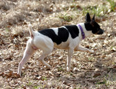 Enlarge photo 5