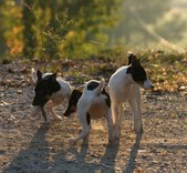 Enlarge photo 8