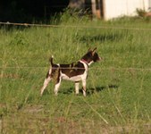 Enlarge photo 10