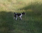 Enlarge photo 3