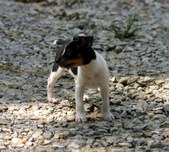 Enlarge photo 18