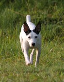 Enlarge photo 16