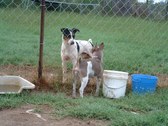 Enlarge photo 22