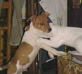 Enlarge photo 47