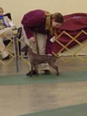 Enlarge photo 22