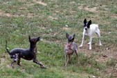 Enlarge photo 10