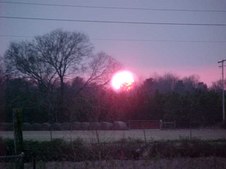 Enlarge photo 25