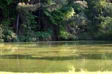 Enlarge photo 66