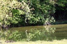 Enlarge photo 67