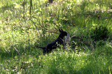 Enlarge photo 76