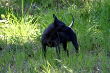 Enlarge photo 77