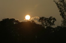 Enlarge photo 84