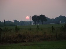 Enlarge photo 55