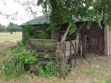 Enlarge photo 46
