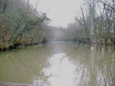 Enlarge photo 36
