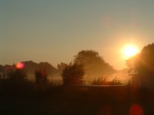 Enlarge photo 58