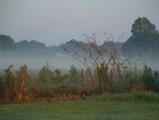 Enlarge photo 57