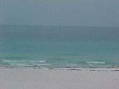 Enlarge photo 42